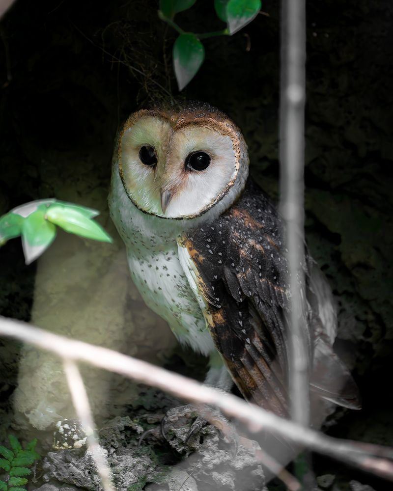 Treat Repeat Visits As Regular Habitat Use