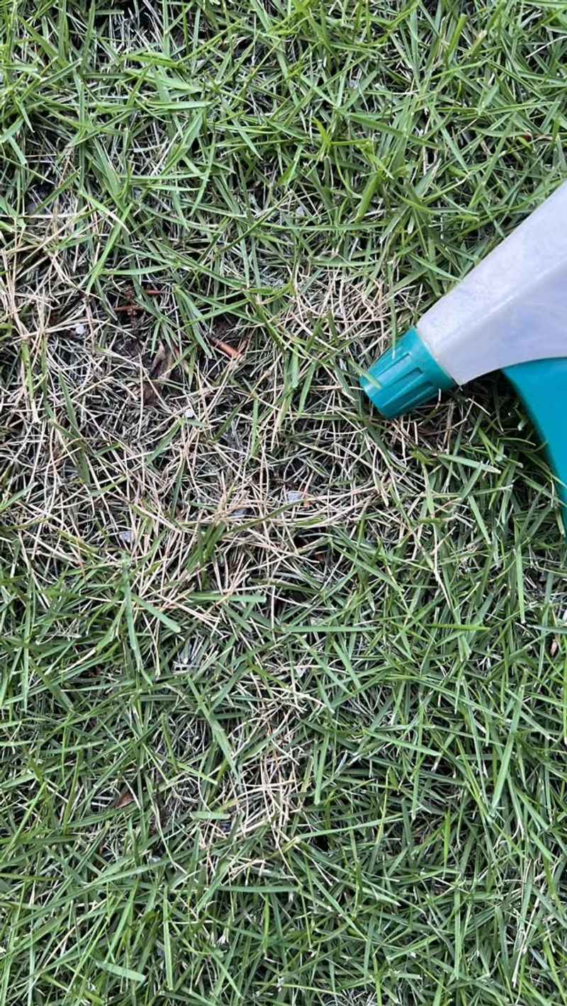 Treatment Steps That Actually Slow The Spread Treatment Steps That Actually Slow The Spread