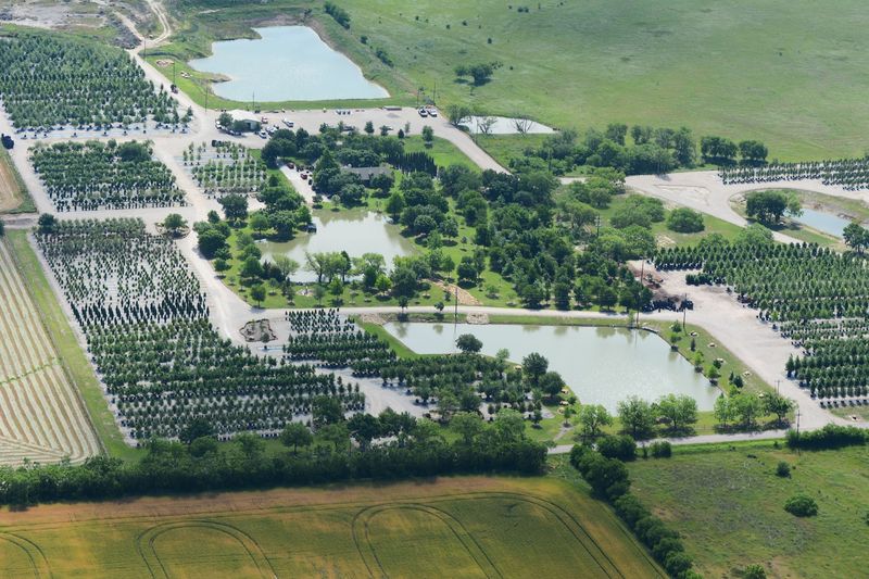 Treeland Nursery - Gunter Treeland Nursery - Gunter