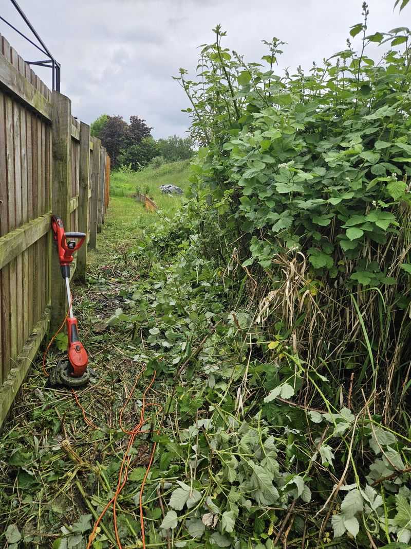 Trim Back Dense Brush Along Fences Trim Back Dense Brush Along Fences