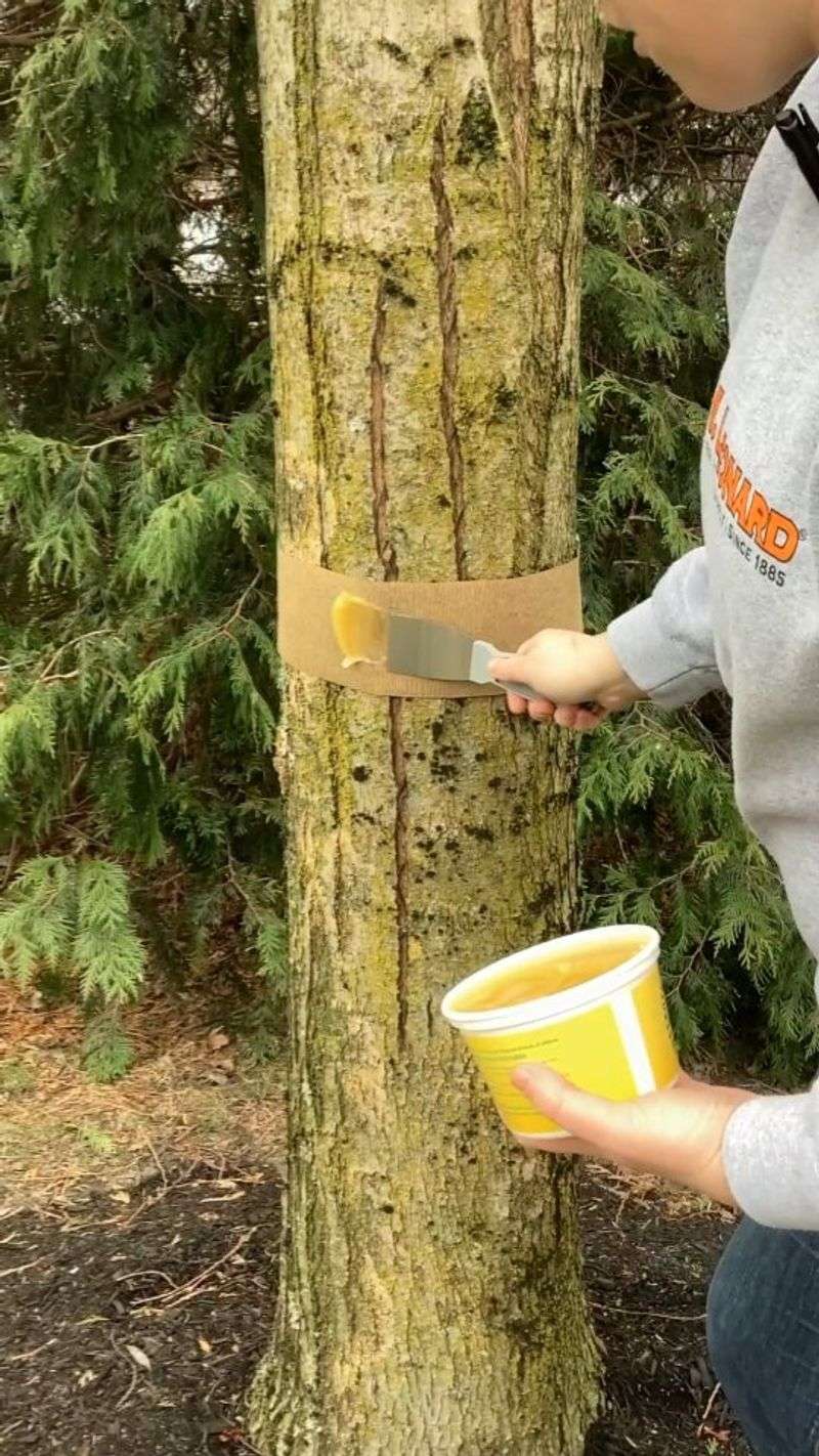 Trunk Banding And Other Physical Barriers