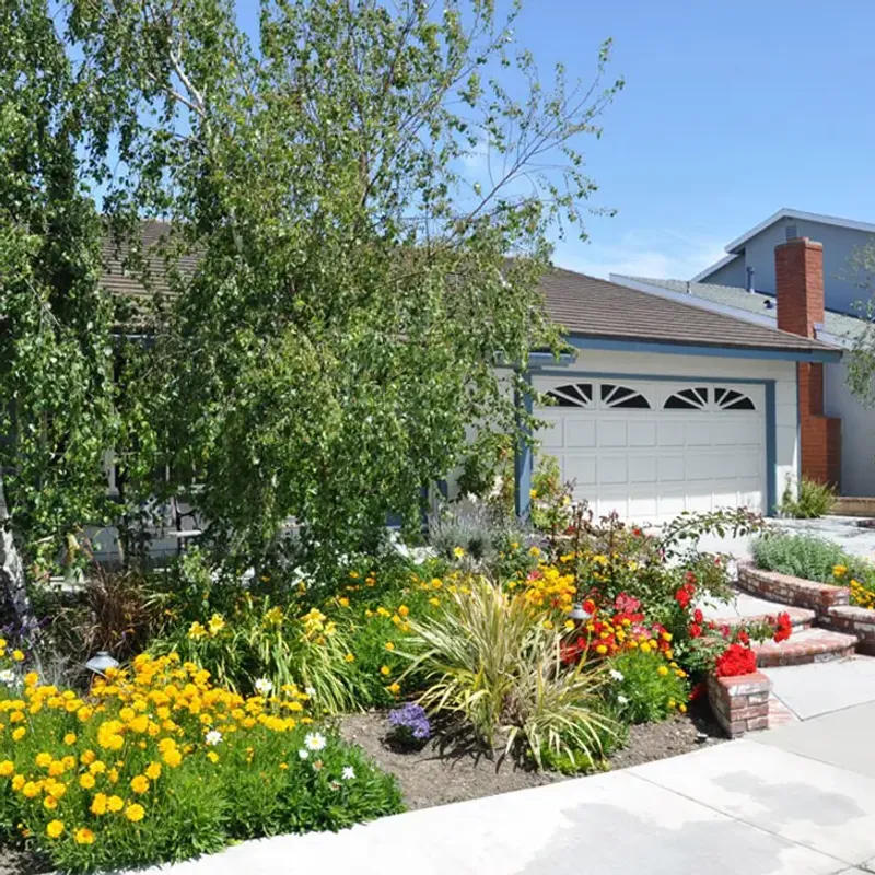 Turf Replacement Programs Can Come With Extra Tree Savings