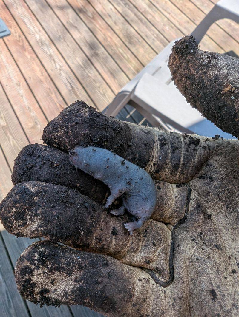 Turn Compost Before Odors Build Turn Compost Before Odors Build