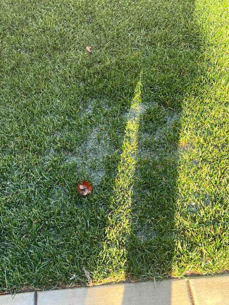 Turn Off The Sprinklers After Heavy Rain Turn Off The Sprinklers After Heavy Rain