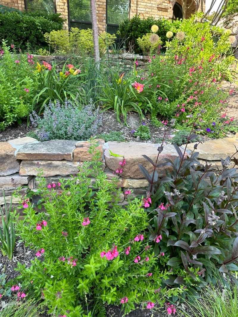 Turn Shady Patches Into Layered Planting Beds Turn Shady Patches Into Layered Planting Beds