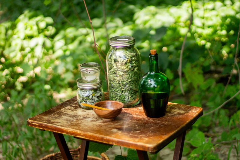 Turning The Harvest Into Syrups And Tonics