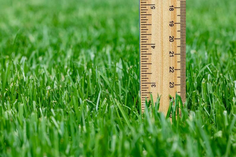 Two Inches Sits At The Bottom Of The Safe Mowing Range