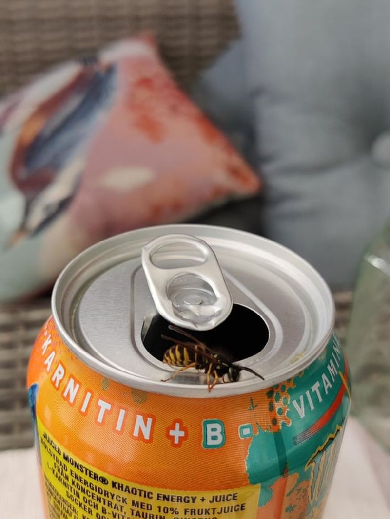 Uncovered Sweet Drinks Can Keep Wasps Circling The Table