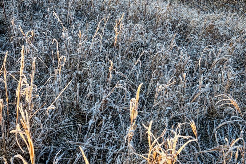 Understanding Wisconsin's Frost Date Window Understanding Wisconsin's Frost Date Window