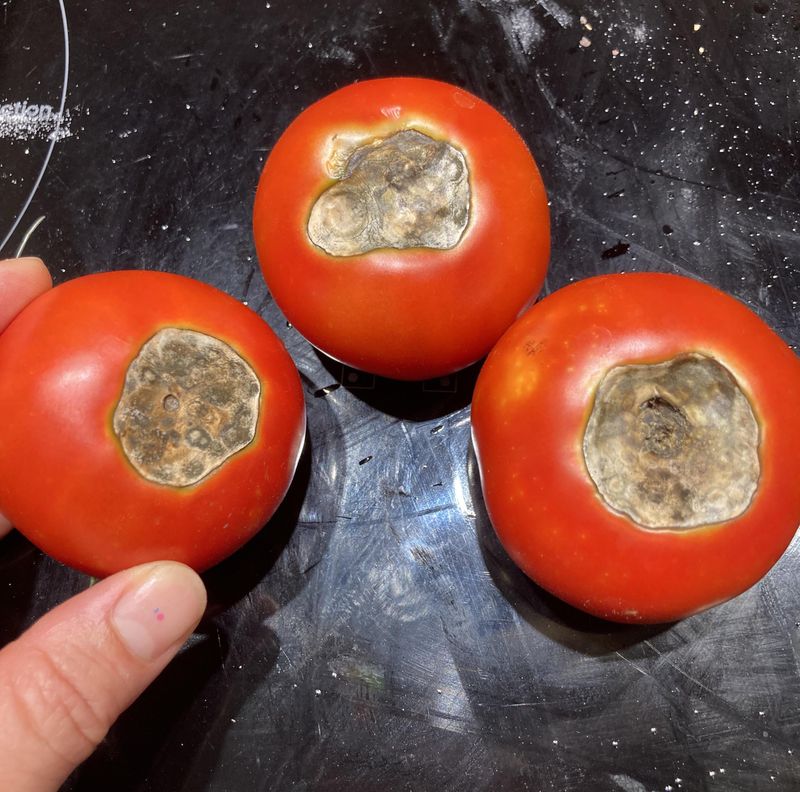 Uneven Moisture Starts The Trouble Uneven Moisture Starts The Trouble