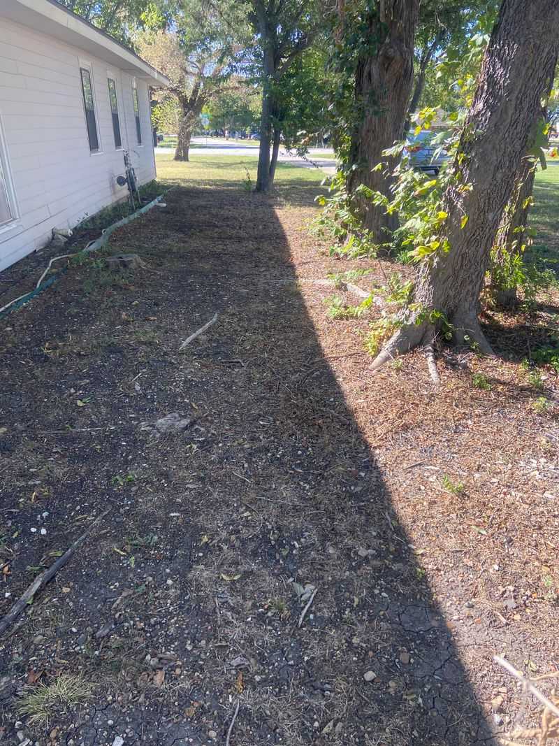 Uneven Sunlight Slowing Growth In Shaded Spots Uneven Sunlight Slowing Growth In Shaded Spots