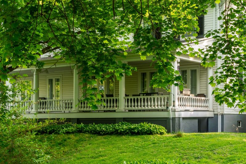 Unscreened Porches Offer Wasps Easy Access