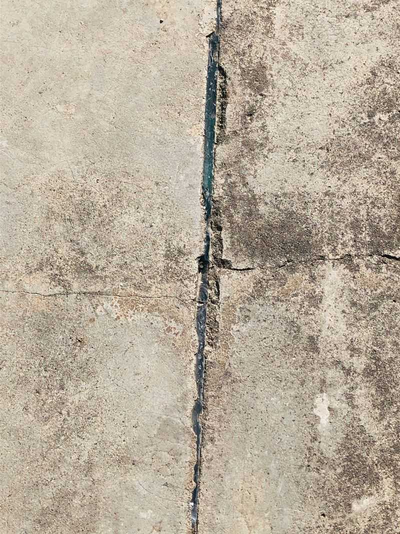 Unsealed Cracks Invite Spiders Inside Unsealed Cracks Invite Spiders Inside