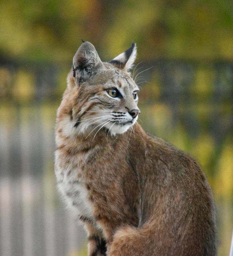 Unusual Behavior Is A Sign To Keep Your Distance