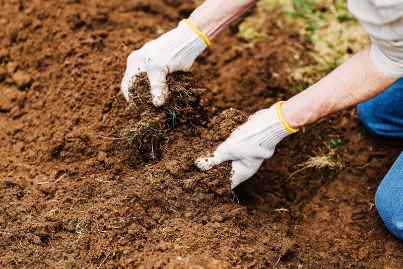 Use Compost For Better Structure