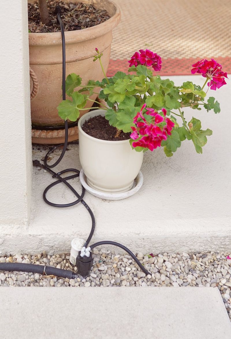 Use Drip Irrigation For The Hot Stretch