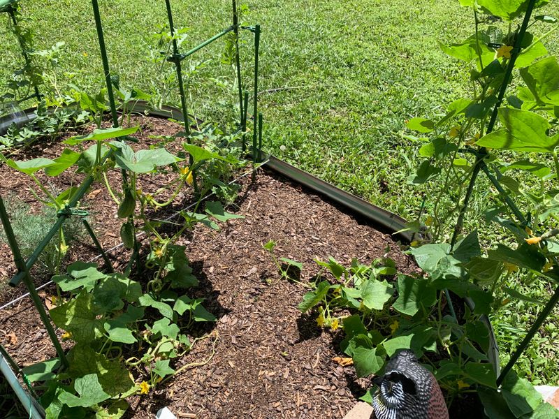 Use Drip Lines For Slower Delivery Use Drip Lines For Slower Delivery