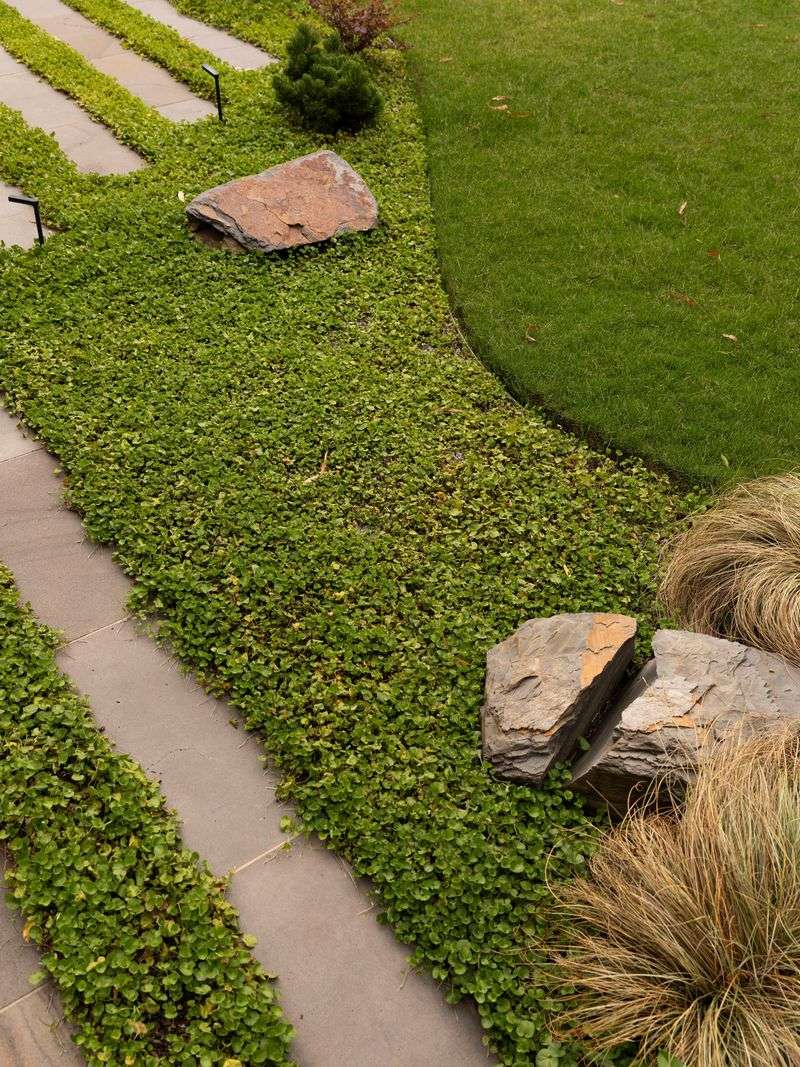 Use It Between Beds, Borders And Hardscape Use It Between Beds, Borders And Hardscape