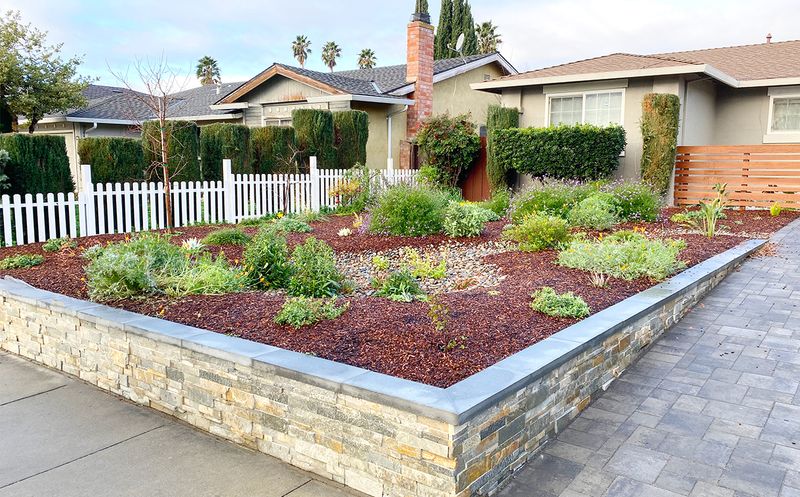 Use The Cure Period To Refine The Planting Use The Cure Period To Refine The Planting