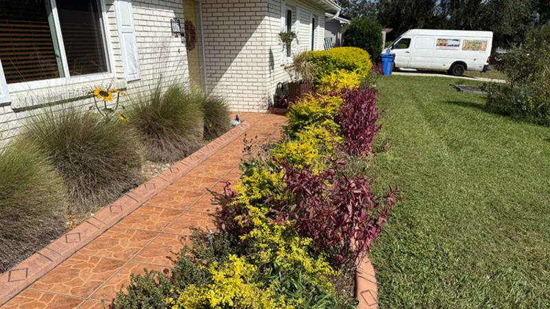Use The Right Plants Around Your Lawn