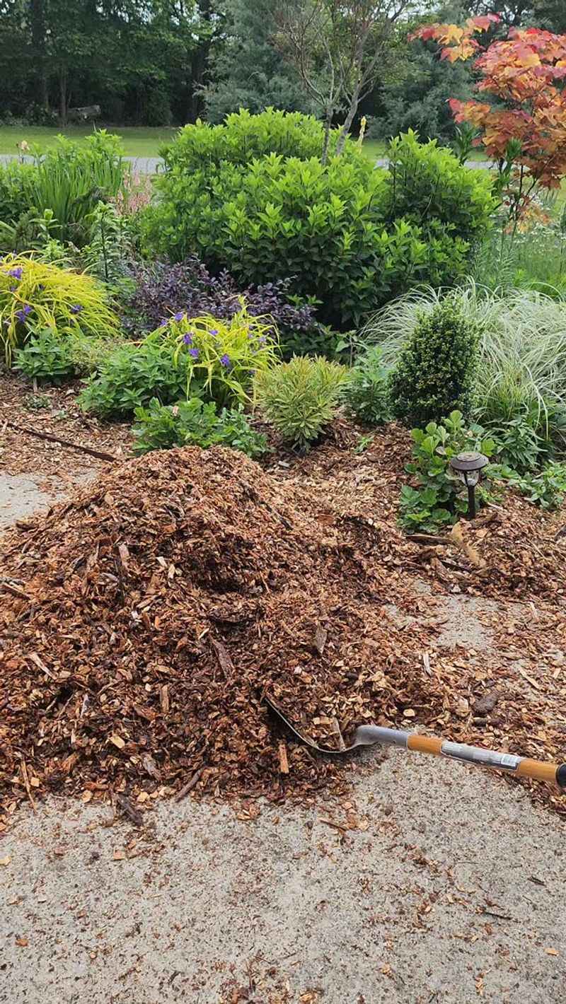 Use The Waiting Time To Add Mulch