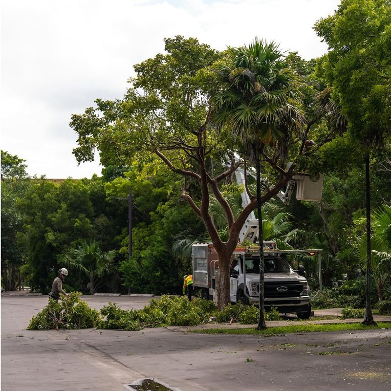 Utility Lines And Overhead Clearance Matter Too Utility Lines And Overhead Clearance Matter Too