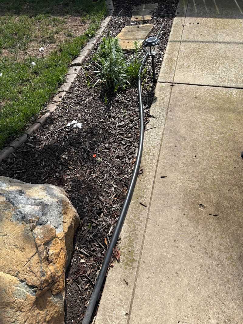 Utility Lines Underground Limit Certain Plantings