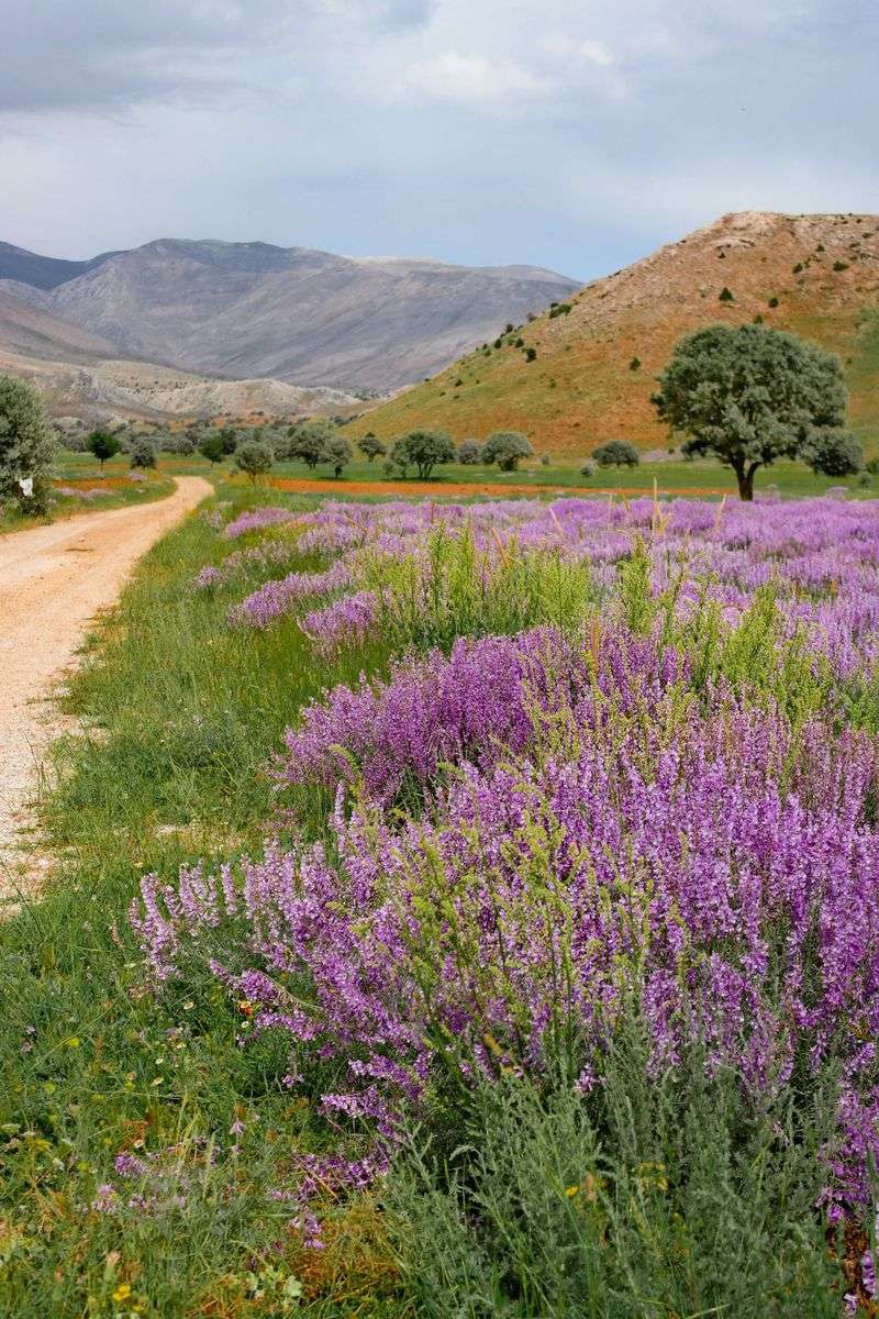 Valley Air Cuts Summer Humidity Stress