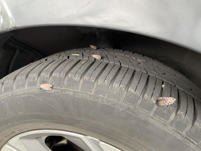 Vehicle And Equipment Checks That Slow Movement To New Areas