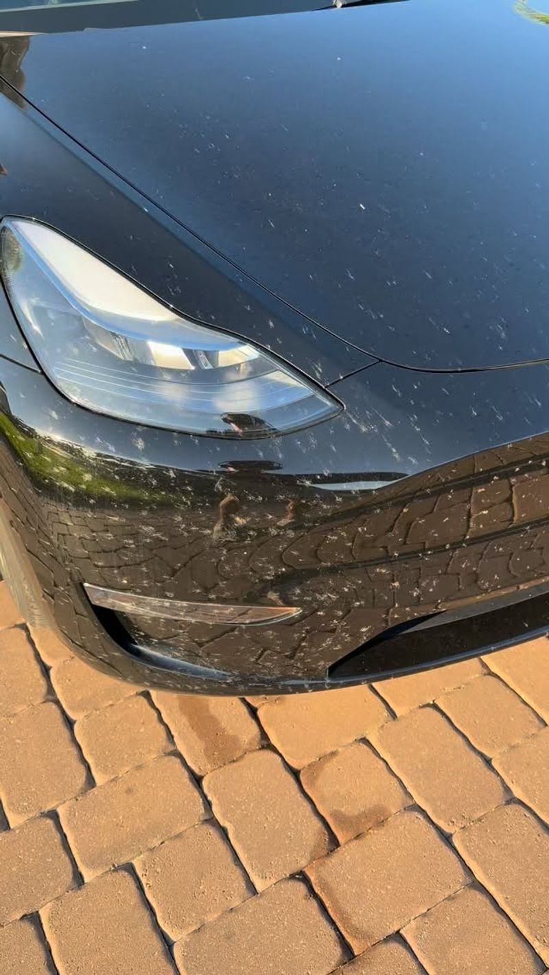 Vehicle Paint Damage Begins Within Hours Of Contact