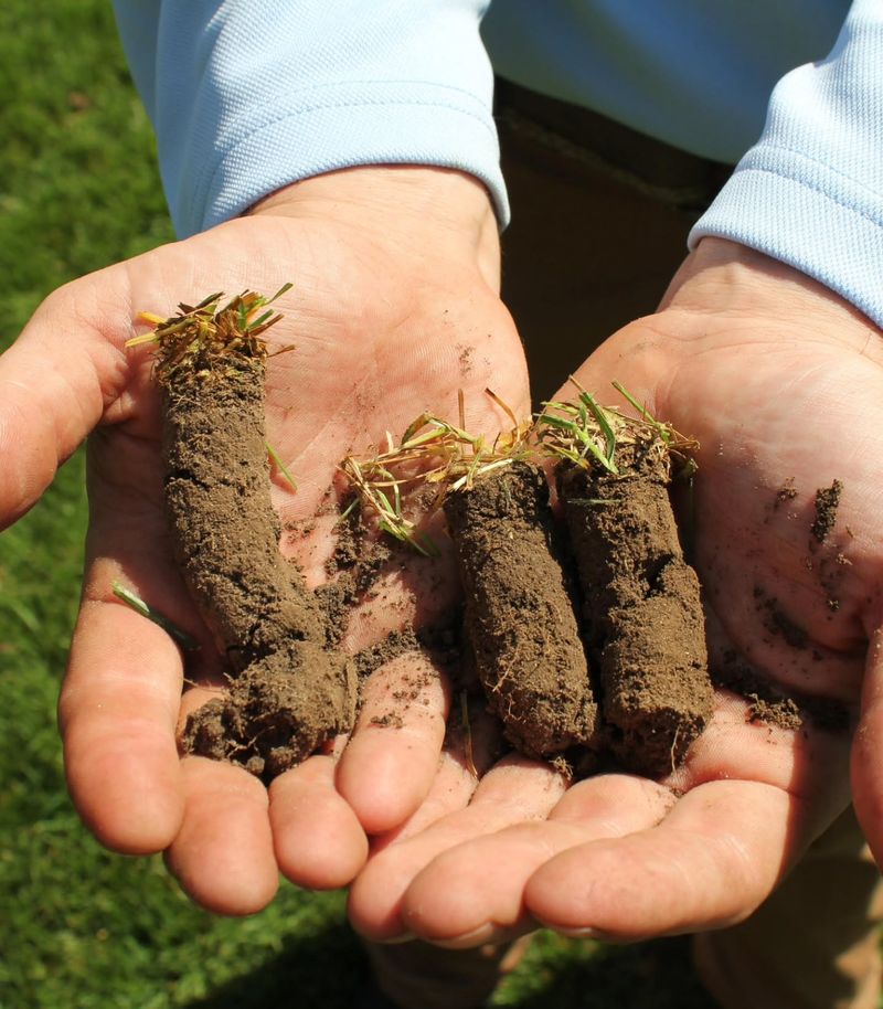 Virginia Clay Compacts Faster Than Sandy Ground Virginia Clay Compacts Faster Than Sandy Ground