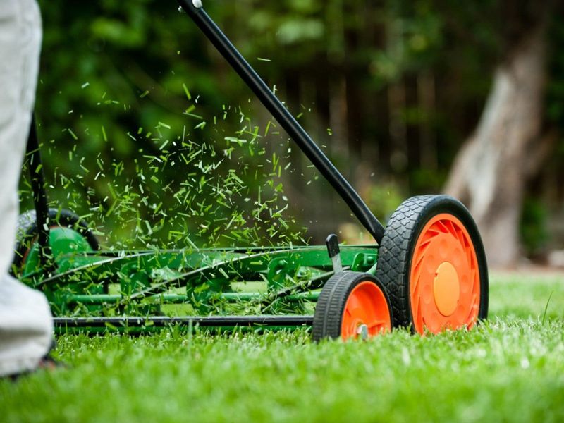 Wait Until Grass Is Dry To Mow Wait Until Grass Is Dry To Mow