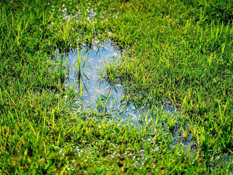 Wait Until Saturated Soil Starts Draining Wait Until Saturated Soil Starts Draining