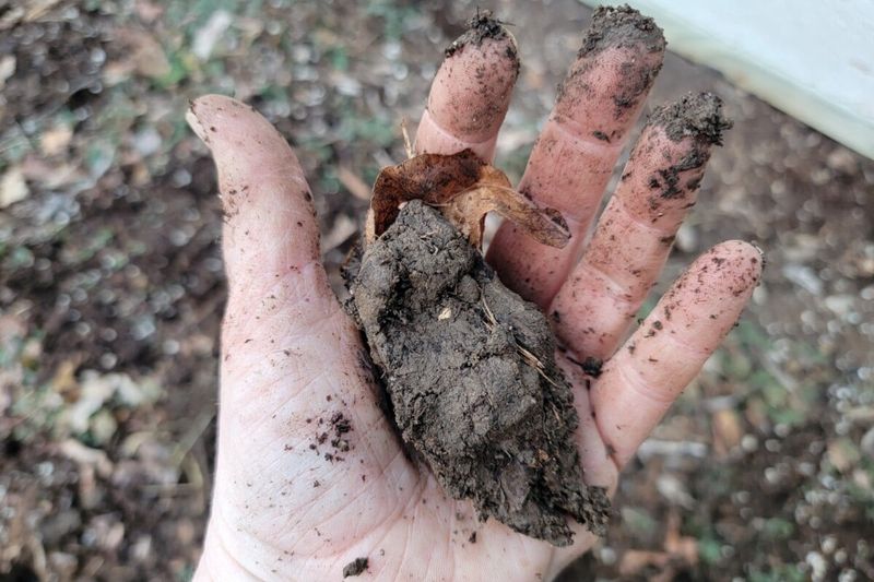 Wait Until Soil Crumbles In Your Hand
