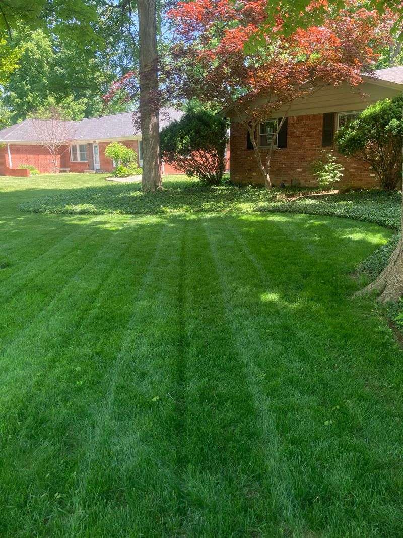 Wait Until The Ground Is Firm