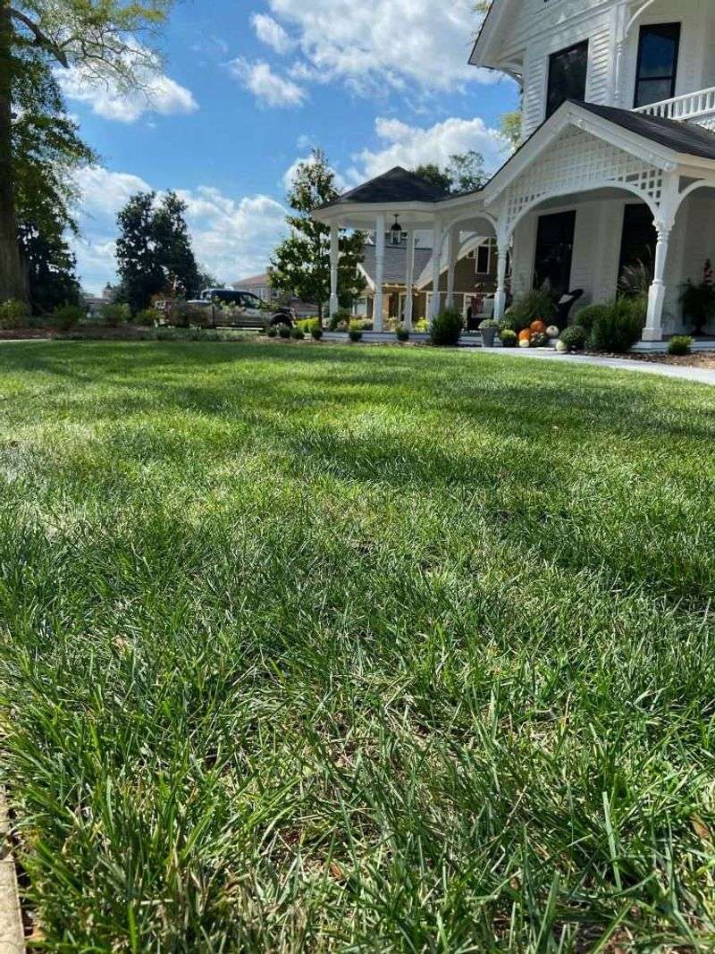 Waiting Until Conditions Improve Protects The Lawn
