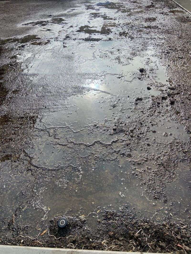 Walking On Saturated Soil Compacts It Almost Instantly Walking On Saturated Soil Compacts It Almost Instantly