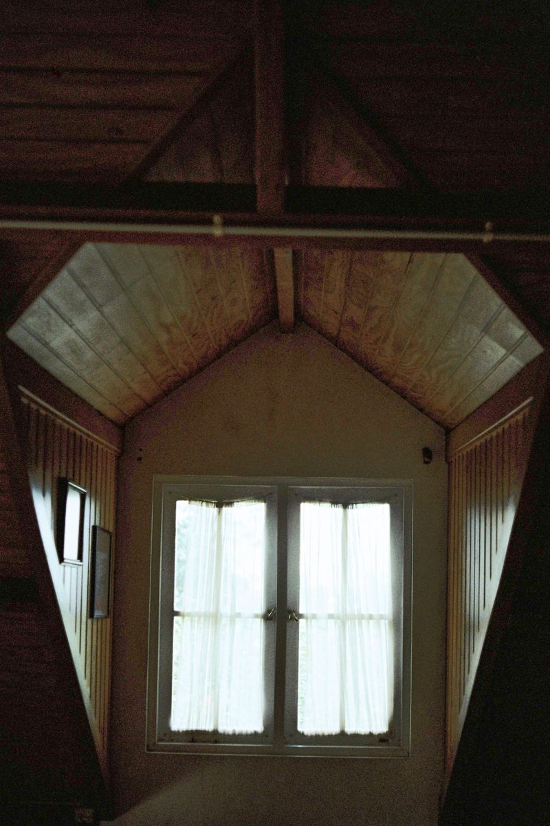 Wall Voids And Attics Become Hideouts Wall Voids And Attics Become Hideouts