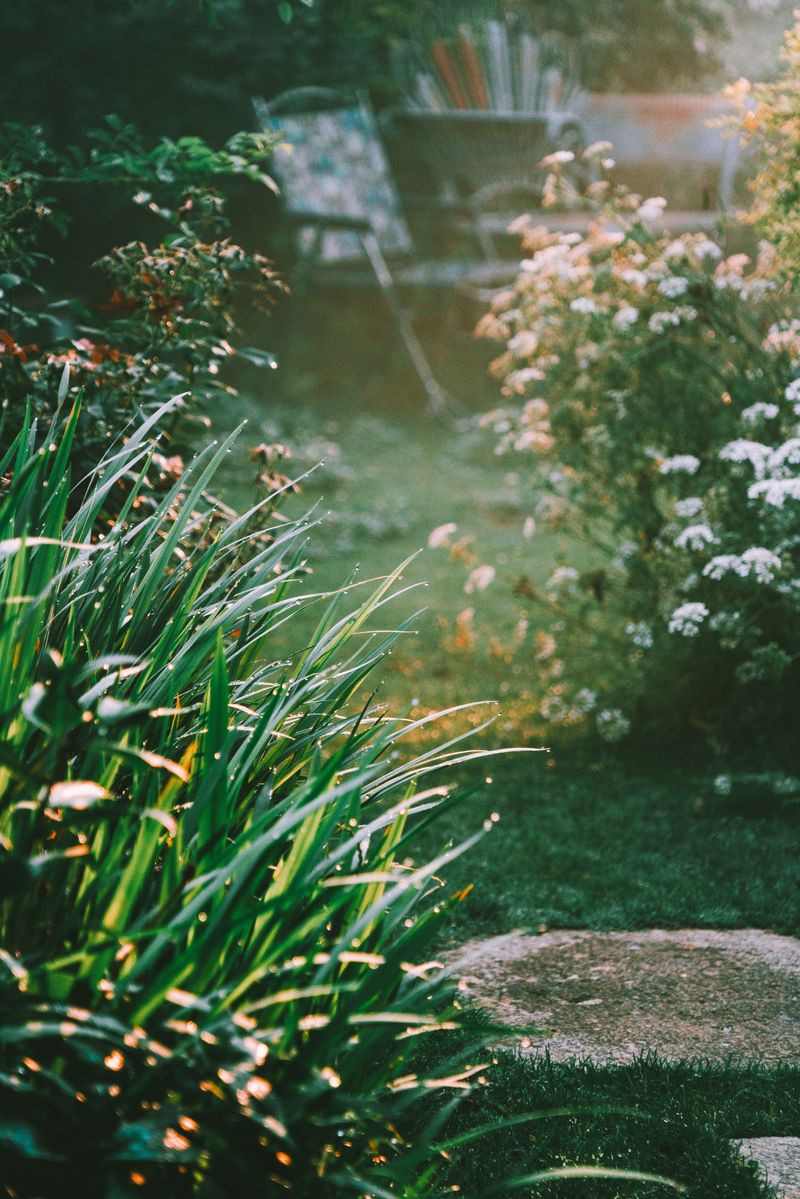 Warm Nights Keep Pathogens Active Warm Nights Keep Pathogens Active