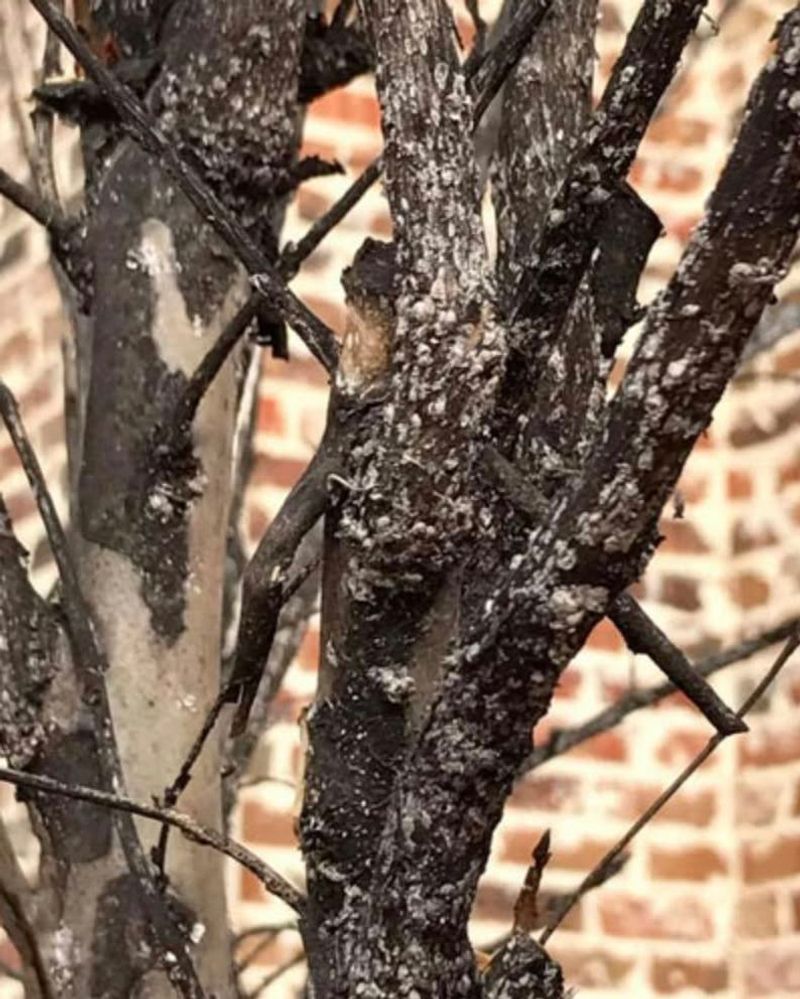 Watch For Signs That Are Not Normal Watch For Signs That Are Not Normal