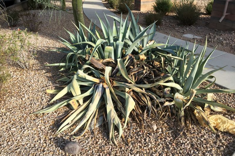 Watch Plants Instead Of Following The Calendar