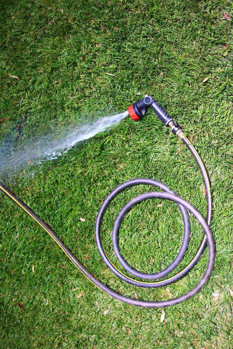 Water Deeply But Less Frequently