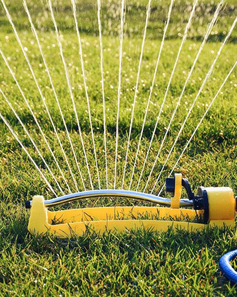 Water Deeply When Irrigating Water Deeply When Irrigating
