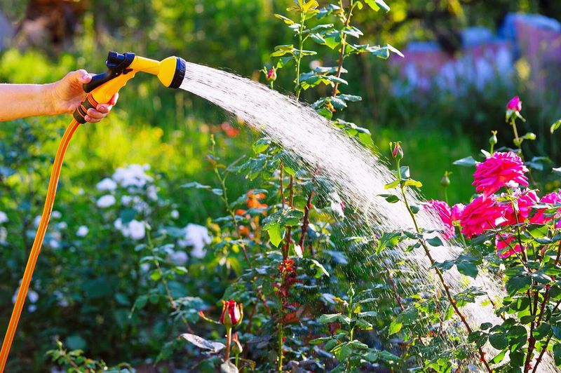 Water Deeply Where Needed Water Deeply Where Needed