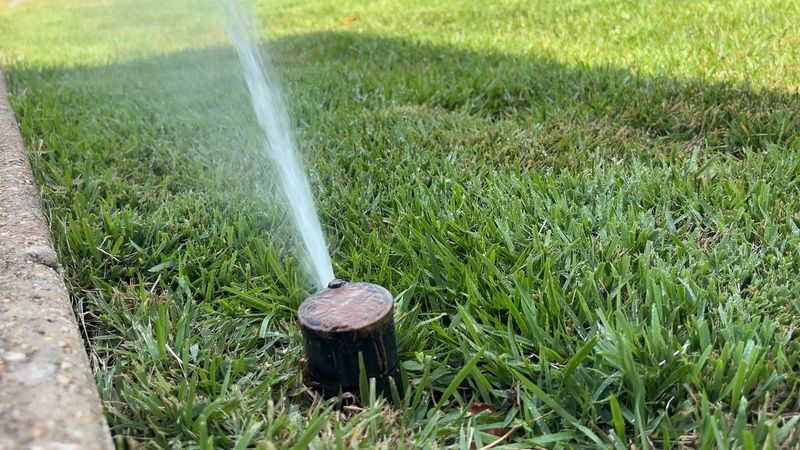 Water Early So Grass Dries Faster Water Early So Grass Dries Faster