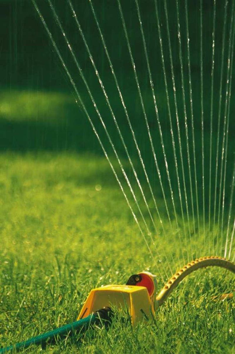 Water Less Often But Much More Effectively