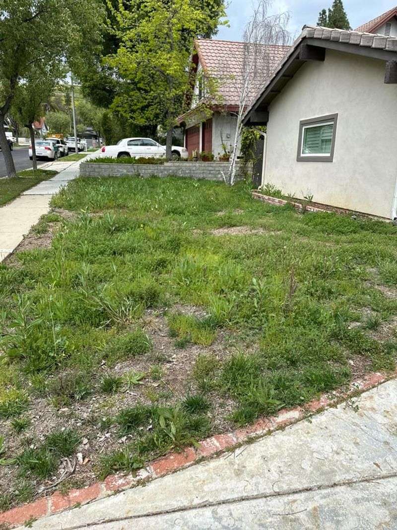 Water Restrictions May Push Lawns Toward A Makeover