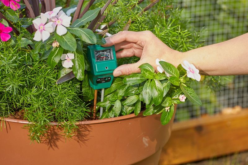Watering Adjusted To Heat And Soil Moisture Watering Adjusted To Heat And Soil Moisture