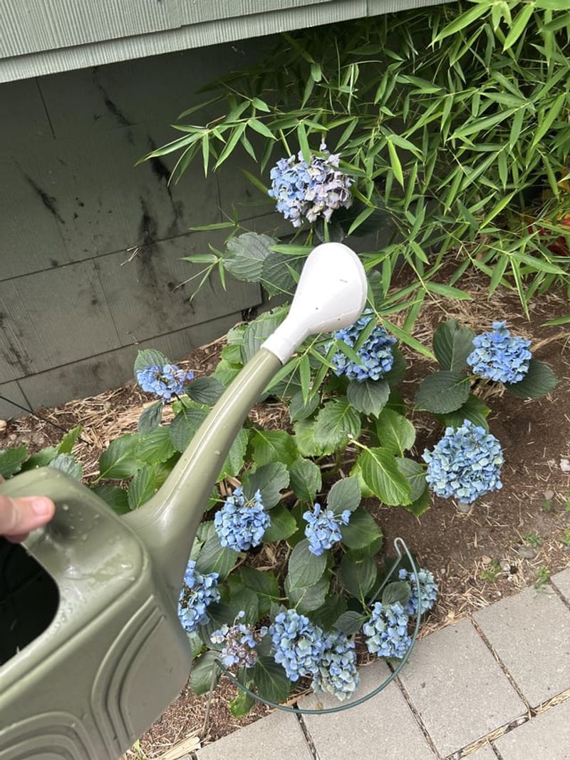 Watering Adjustments To Offset Hot Conditions Watering Adjustments To Offset Hot Conditions