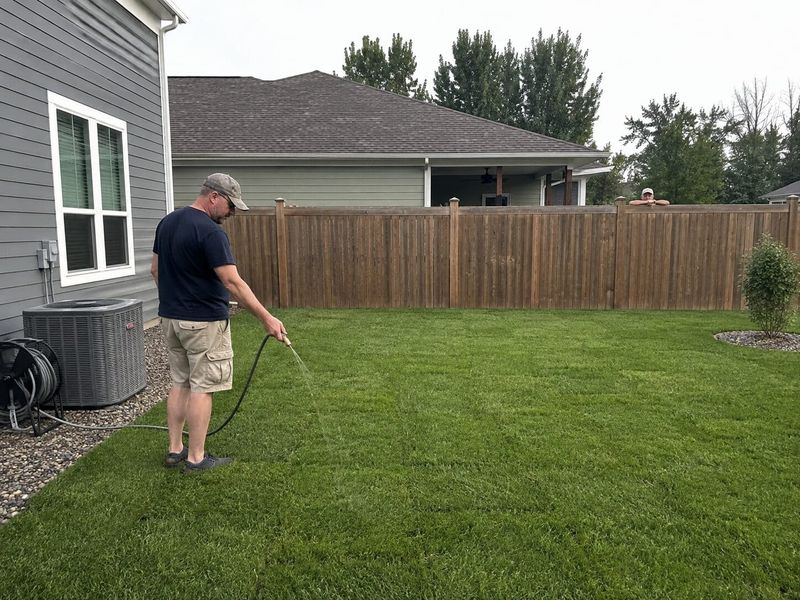 Watering And Mowing Should Work Together During Dry Spells Watering And Mowing Should Work Together During Dry Spells